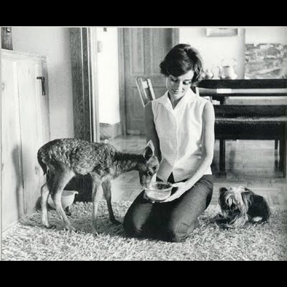 I have a love for rescuing animals and being a mom - Picture 4 of 9